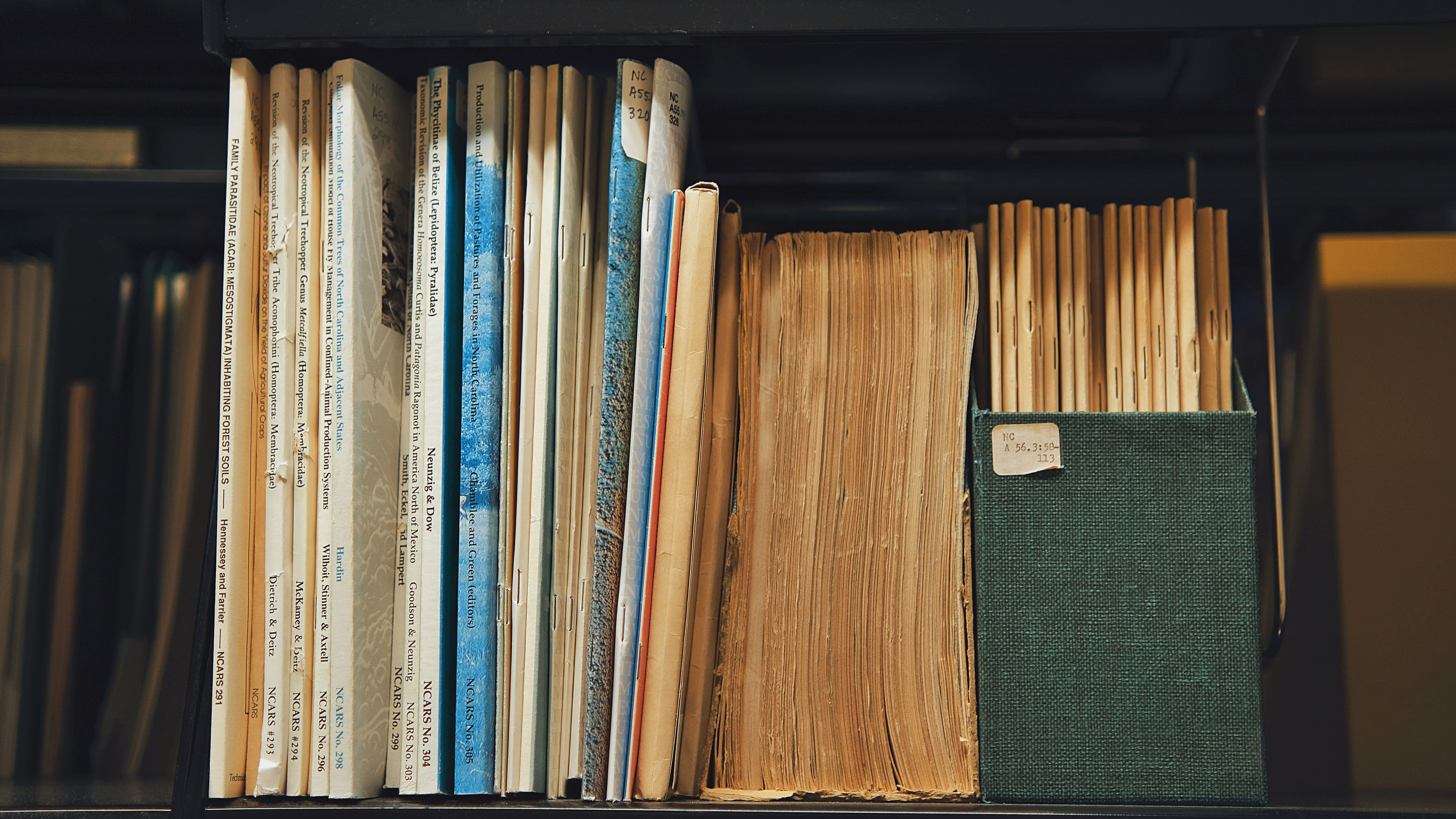 Shelf filled with worn books, journals, and neatly organized documents in a green box. Image courtesy of Leiada Krozjhen.