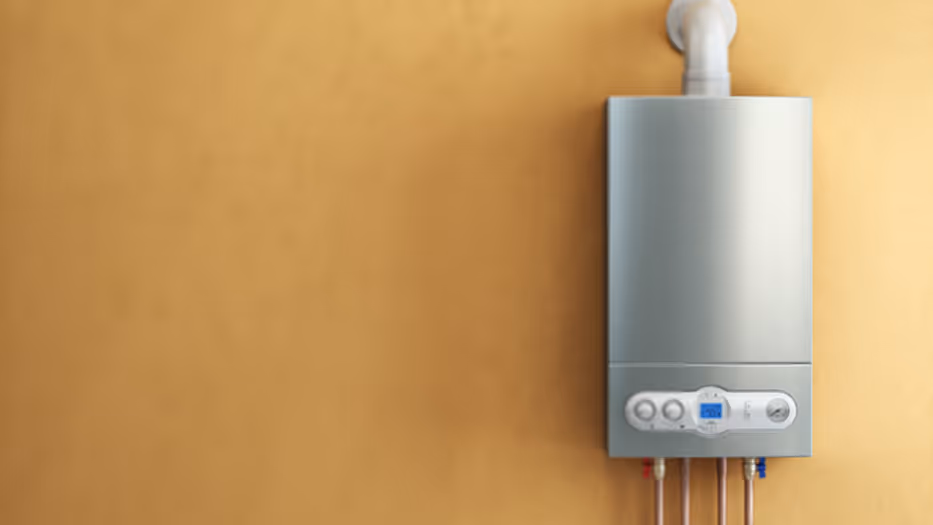 Caldera de gas o eléctrica, ¿cuál te conviene más? | Vivus.es