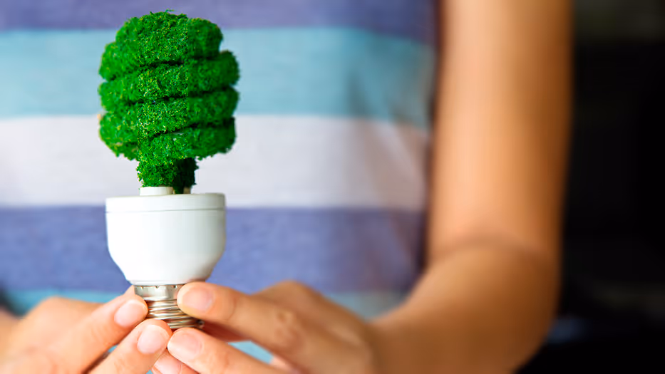 ¿Cuáles son los beneficios de las bombillas de bajo consumo?