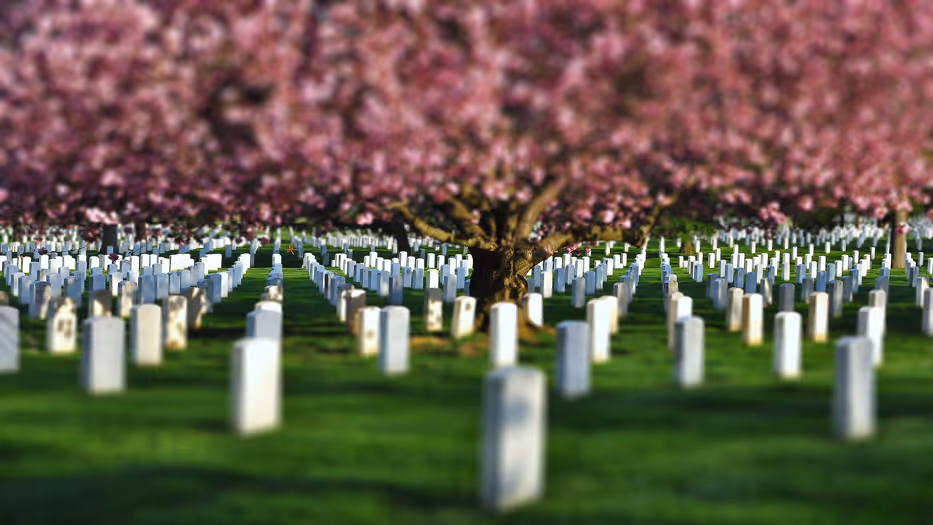 Análisis sobre los gastos de un entierro