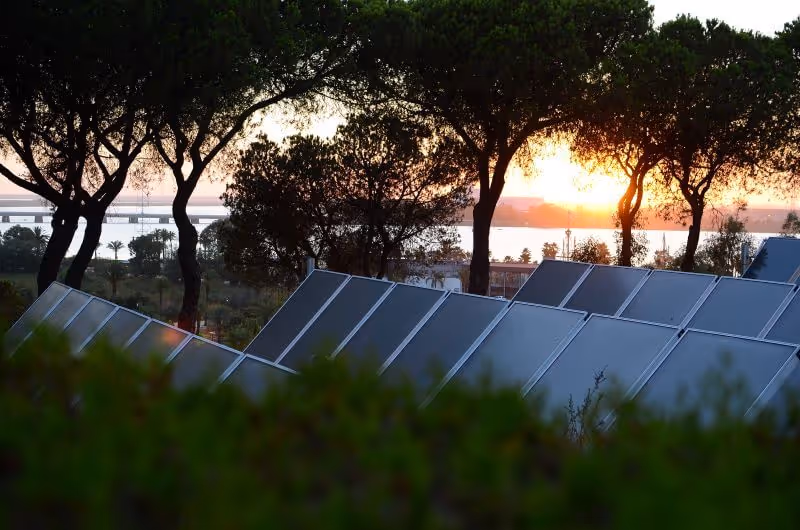 Placa solar en tarde soleada