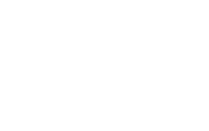 NEN logo