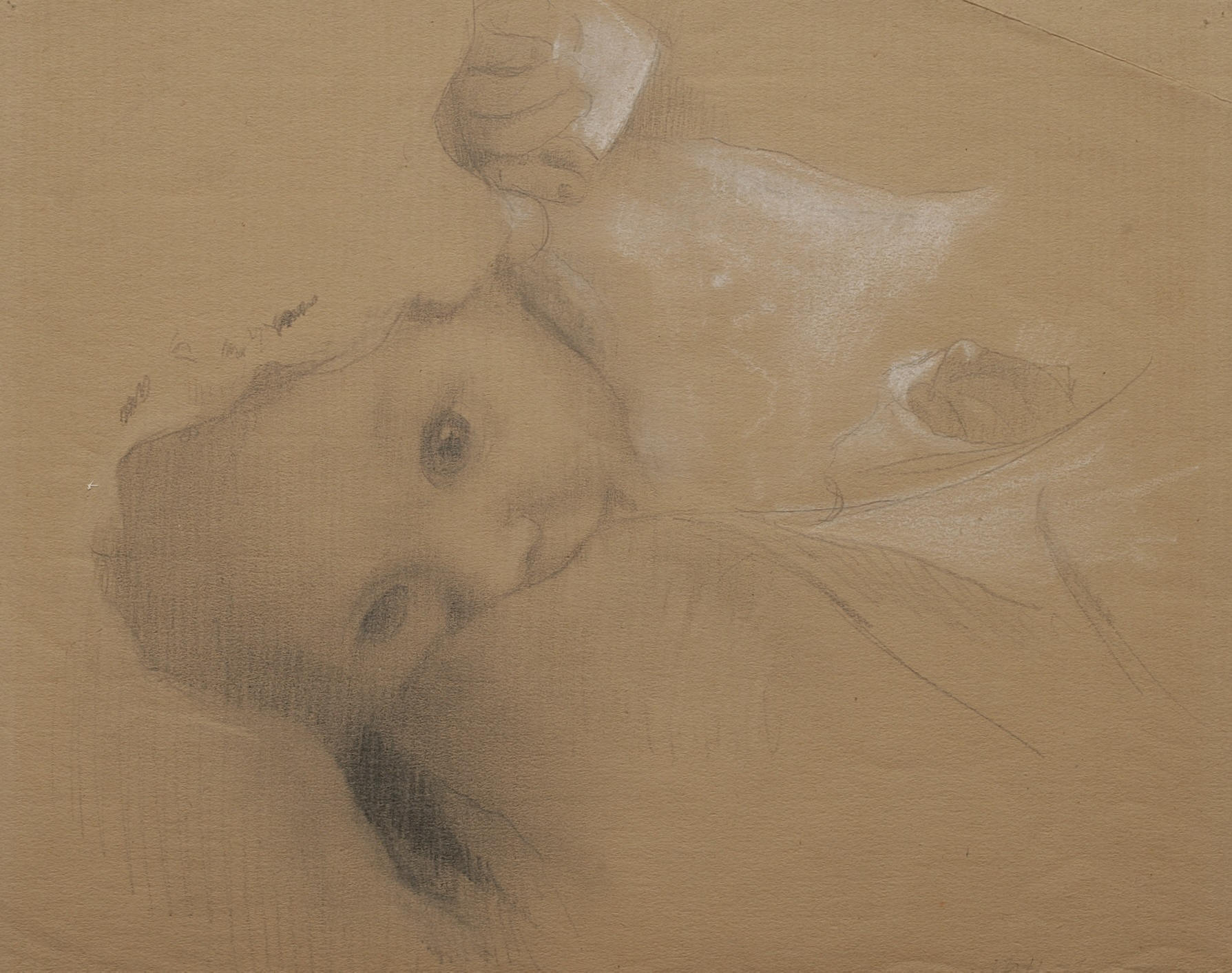 marie haughton spaeth paintings