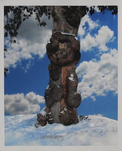 Lucas Samaras 1936-2024 NY Photographer Artist