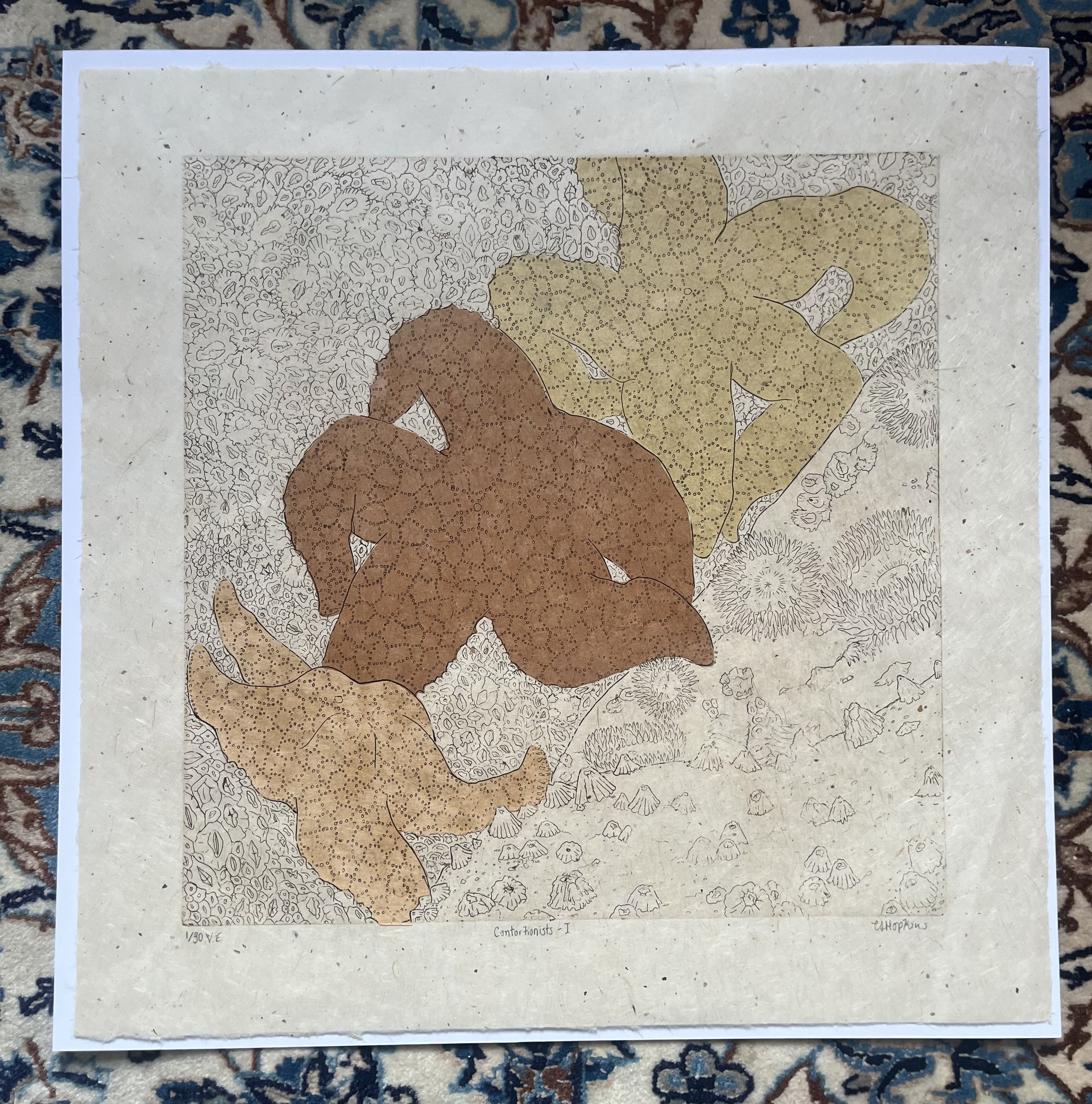 Photo of print emphasising 3 sea stars