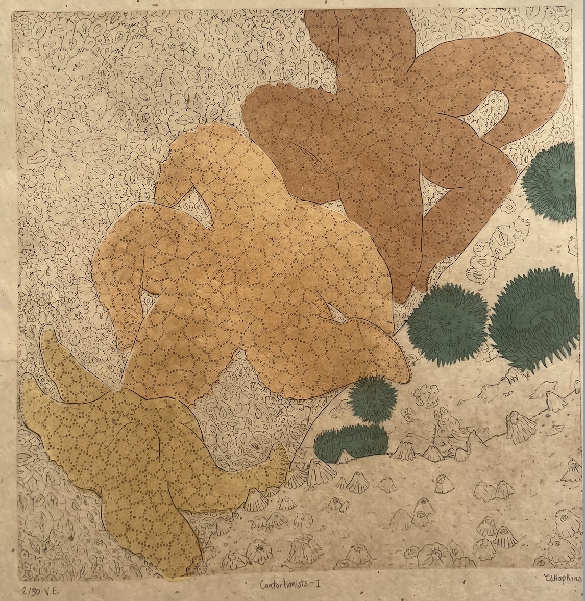 Printed area of the print is focused on