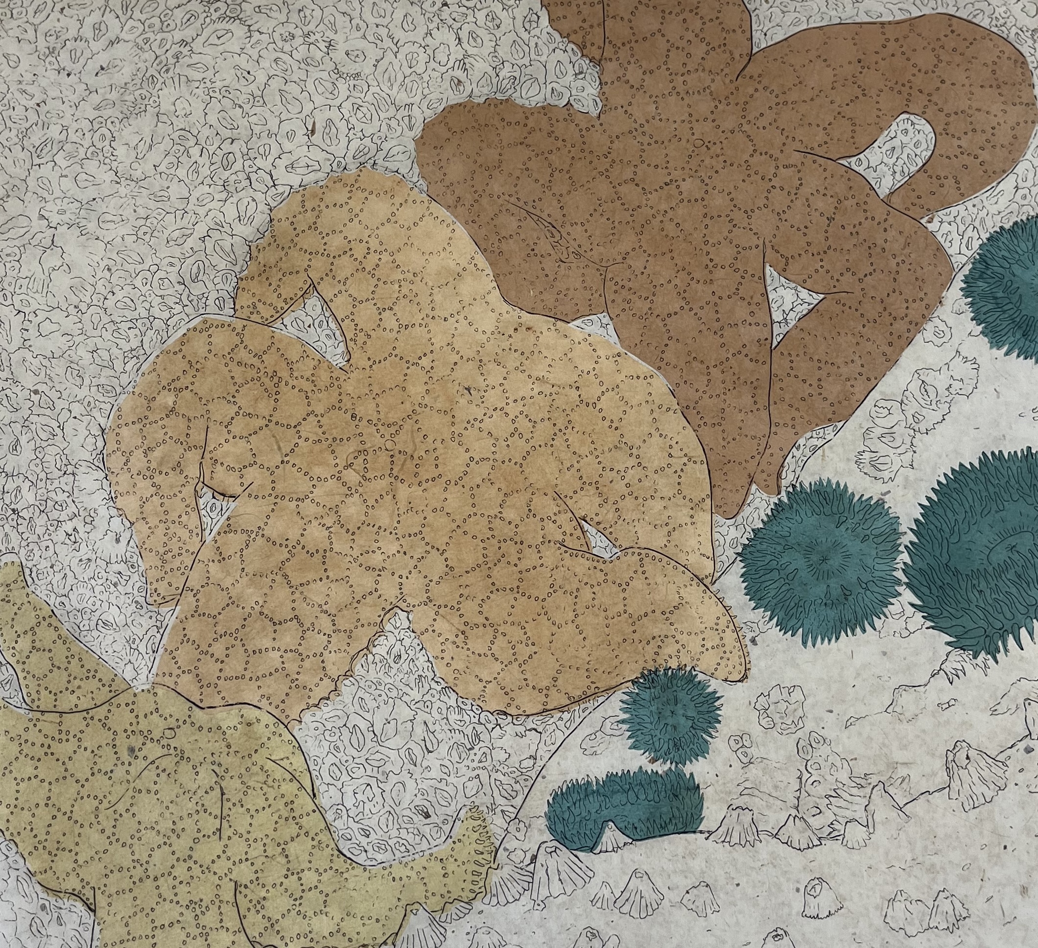 Angled photo showing the etching with 3 sea stars emphasised through chine-colle. The sea anenome are also emphasised through green chine colle