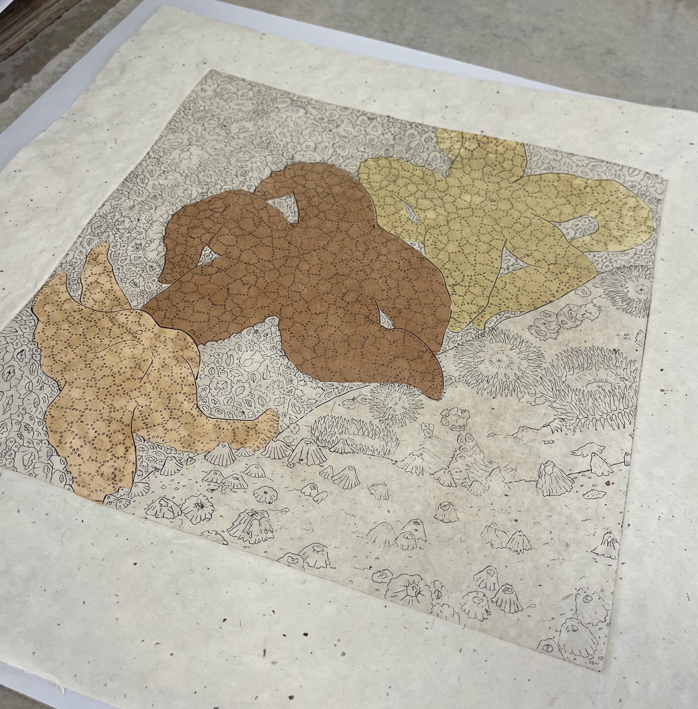 Angled photo showing the etching with 3 sea stars emphasised through chine-colle. 