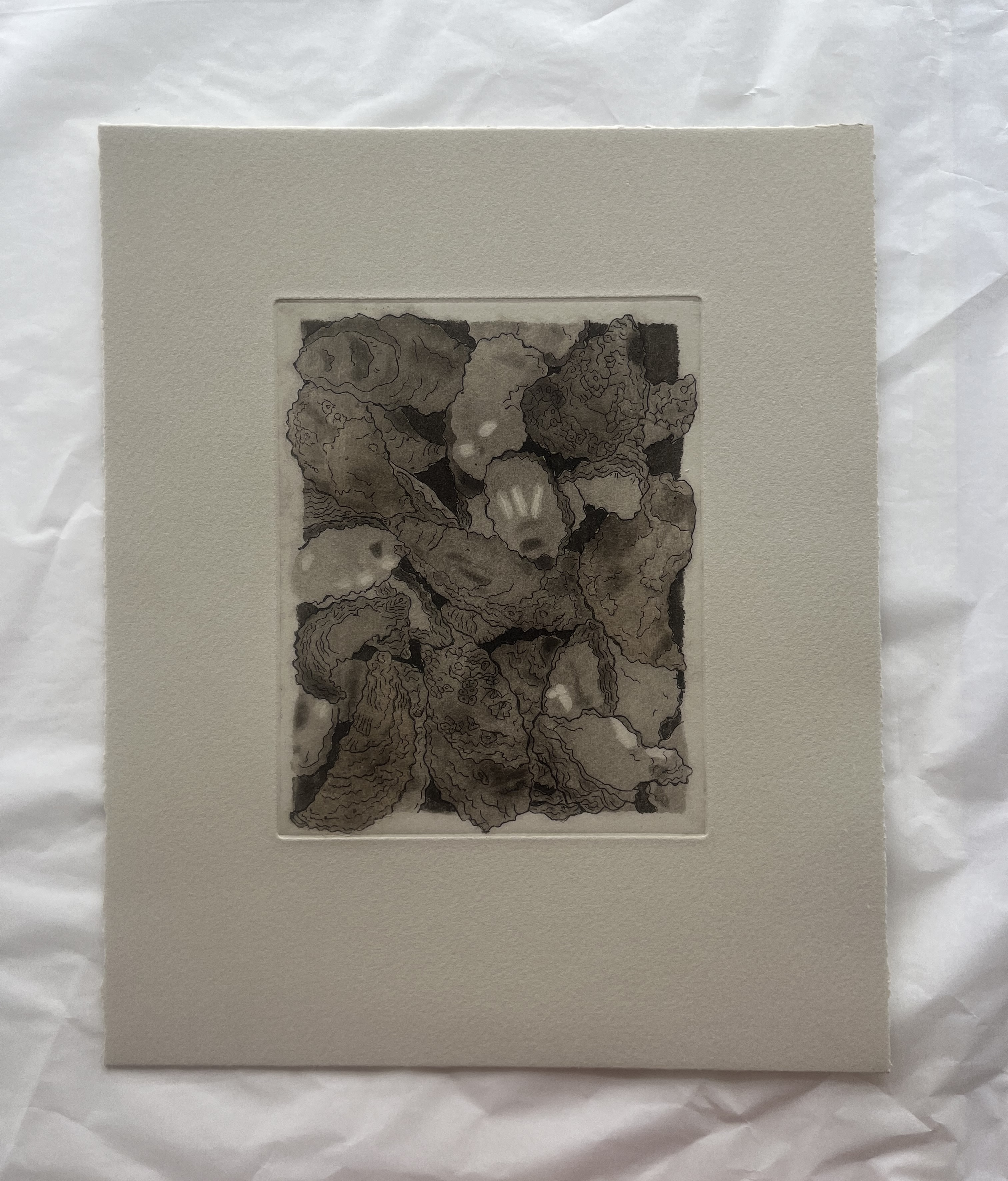 Print of multiple oysters that are overlapping. Some oysters are going beyond the border. This print's ink is a deep sepia. Some oysters have subtle paper that is shading them.