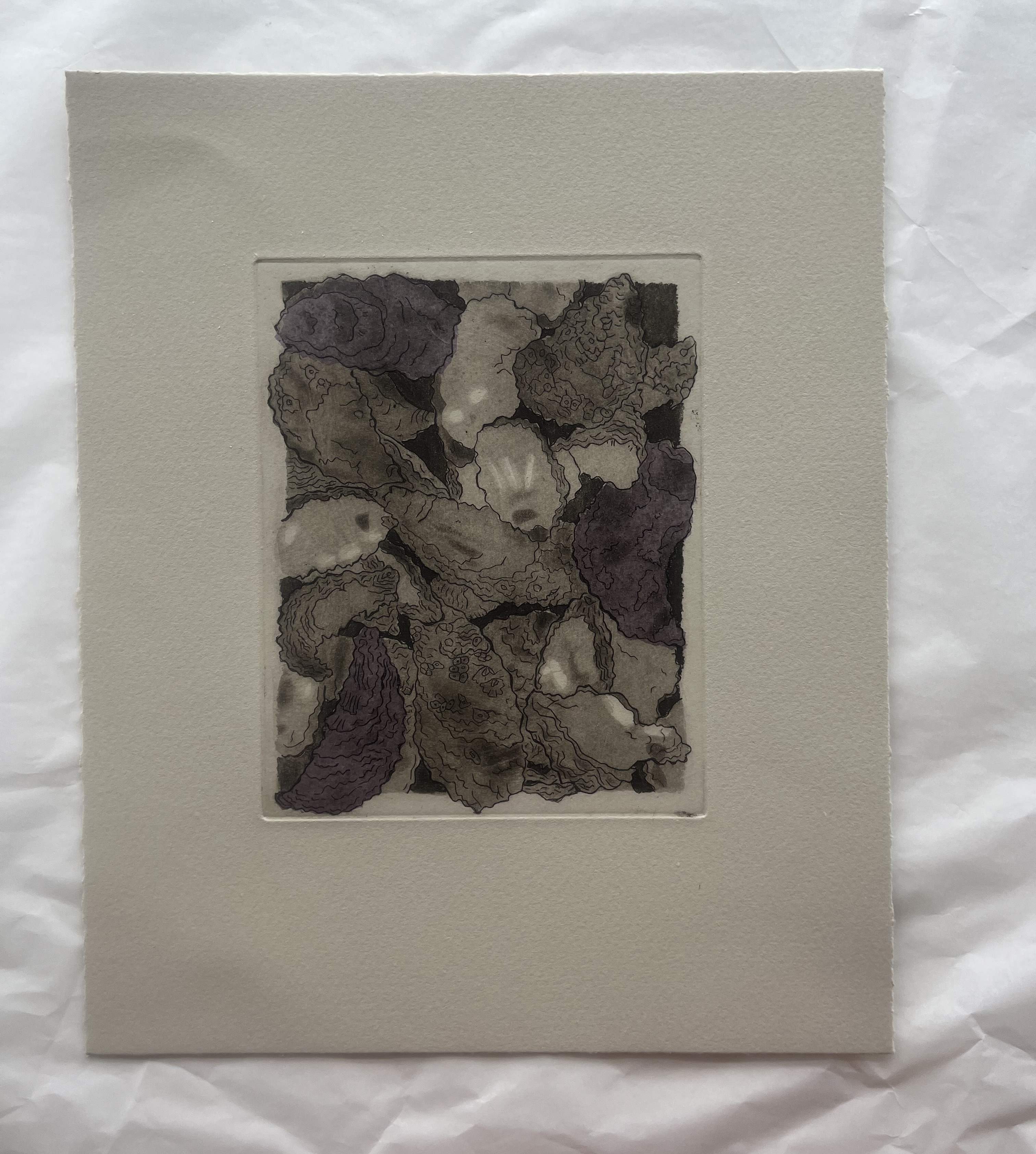 Print of multiple oysters that are overlapping. Some oysters are going beyond the border. This print's ink is a deep sepia. Some oysters have subtle paper that is shading the oysters in a purple tone. 