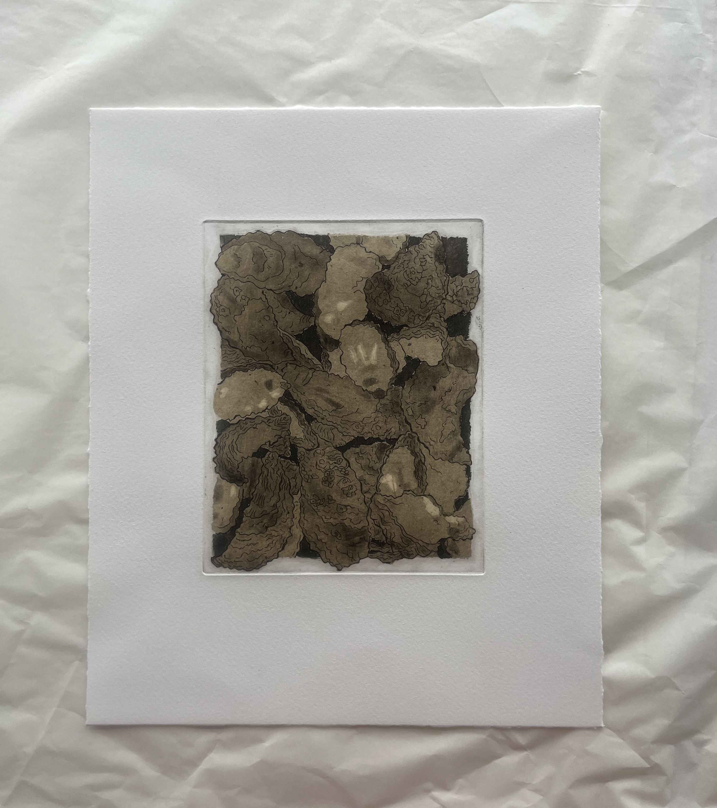 Print of multiple oysters that are overlapping. Some oysters are going beyond the border. This print's ink is a deep sepia.