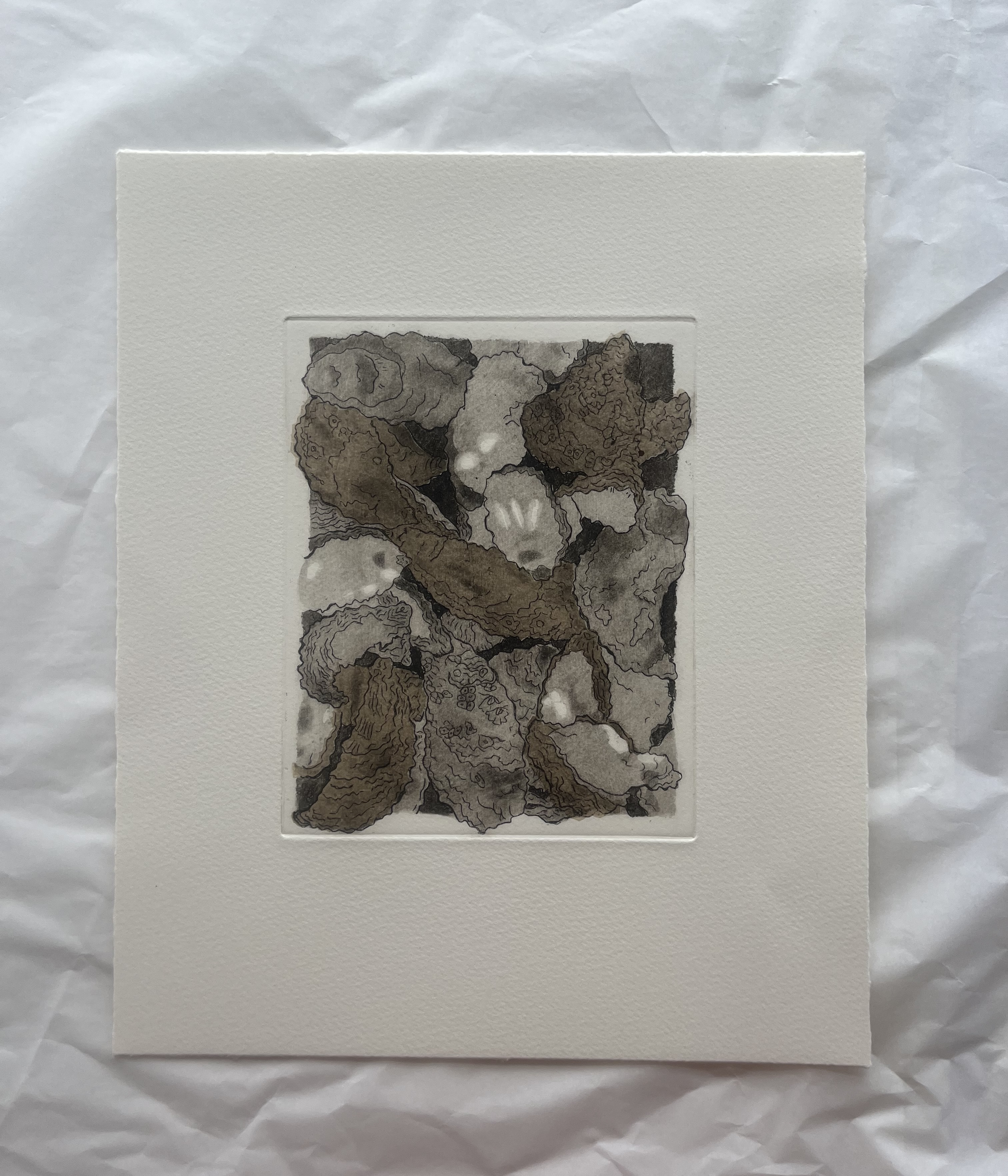 Print of multiple oysters that are overlapping. Some oysters are going beyond the border. This print's ink is a deep sepia. Some oysters have subtle paper that is shading the oysters in a browner tone. 