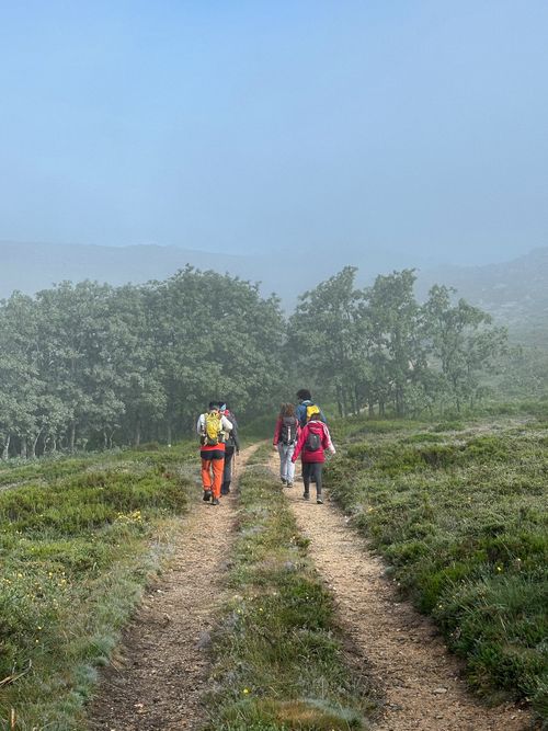 Creatives from Sende going for the hike