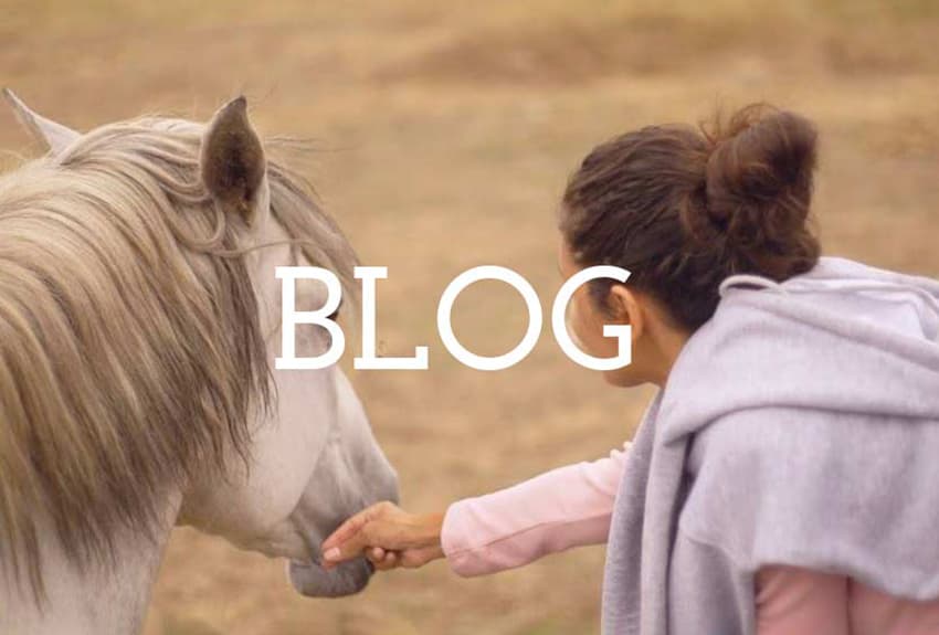 Foto with the link to the Blog page of Sende