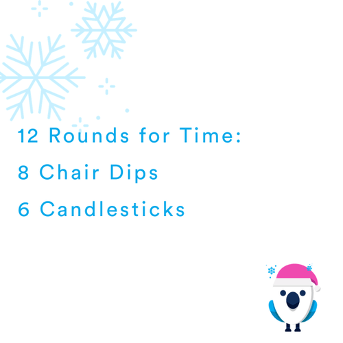 2020-12-23 Happy Festivus by Coach Janet