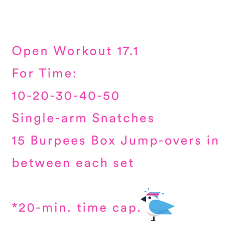 2021-01-27 CrossFit Open 17.1 Home Edition by Coach Janet