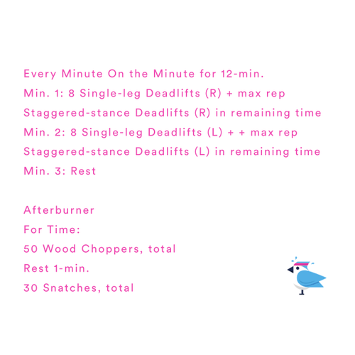 2021-03-05 Greetings to your Hammies by Coach Janet