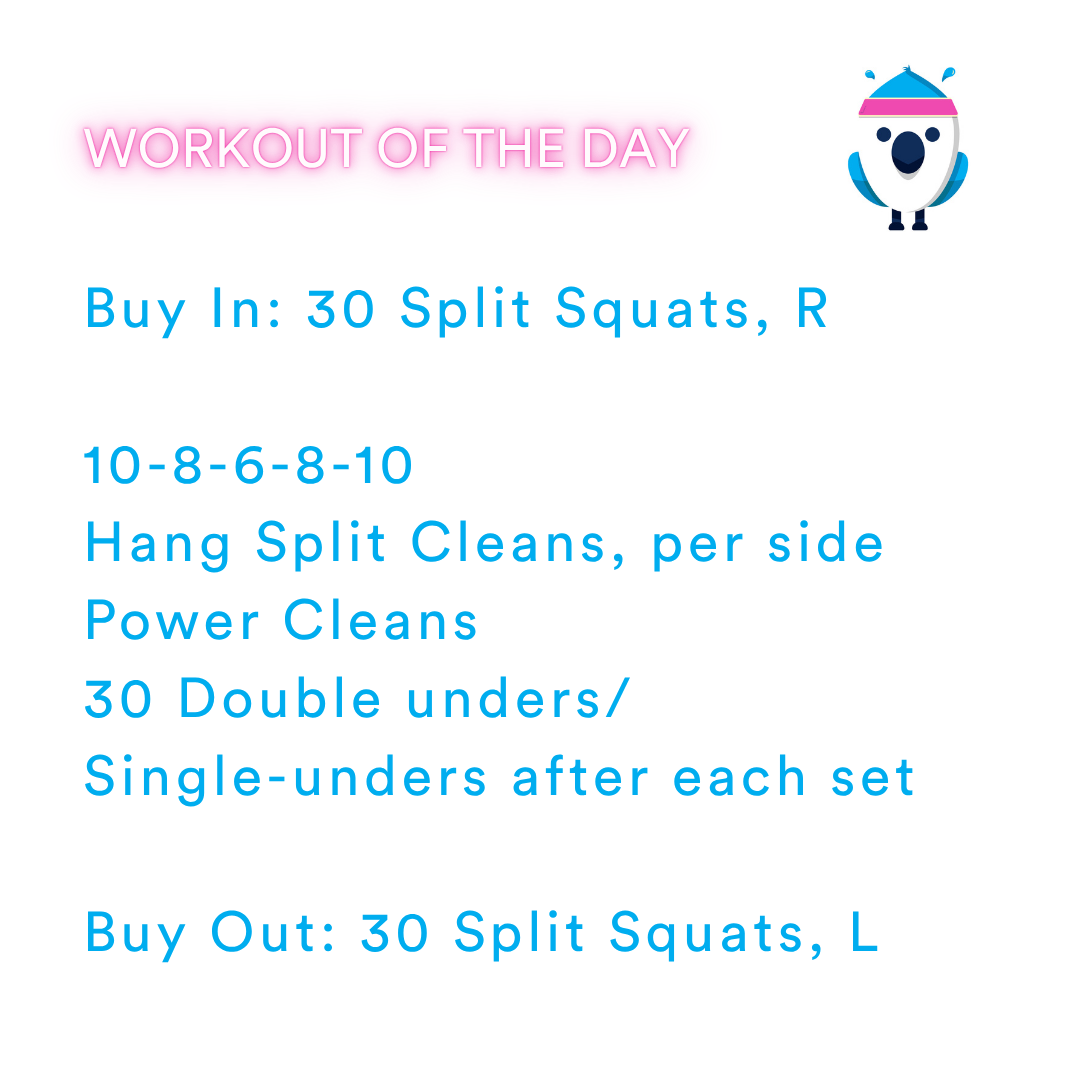 2025-11-05 Going Dutch by Coach Janet