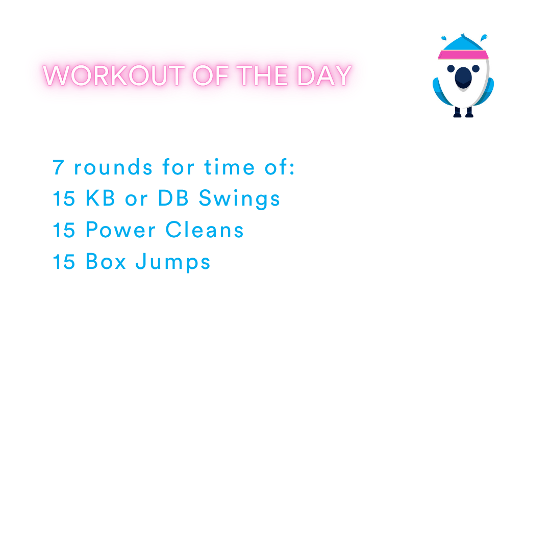 2025-11-15 Wittman by Coach Janet