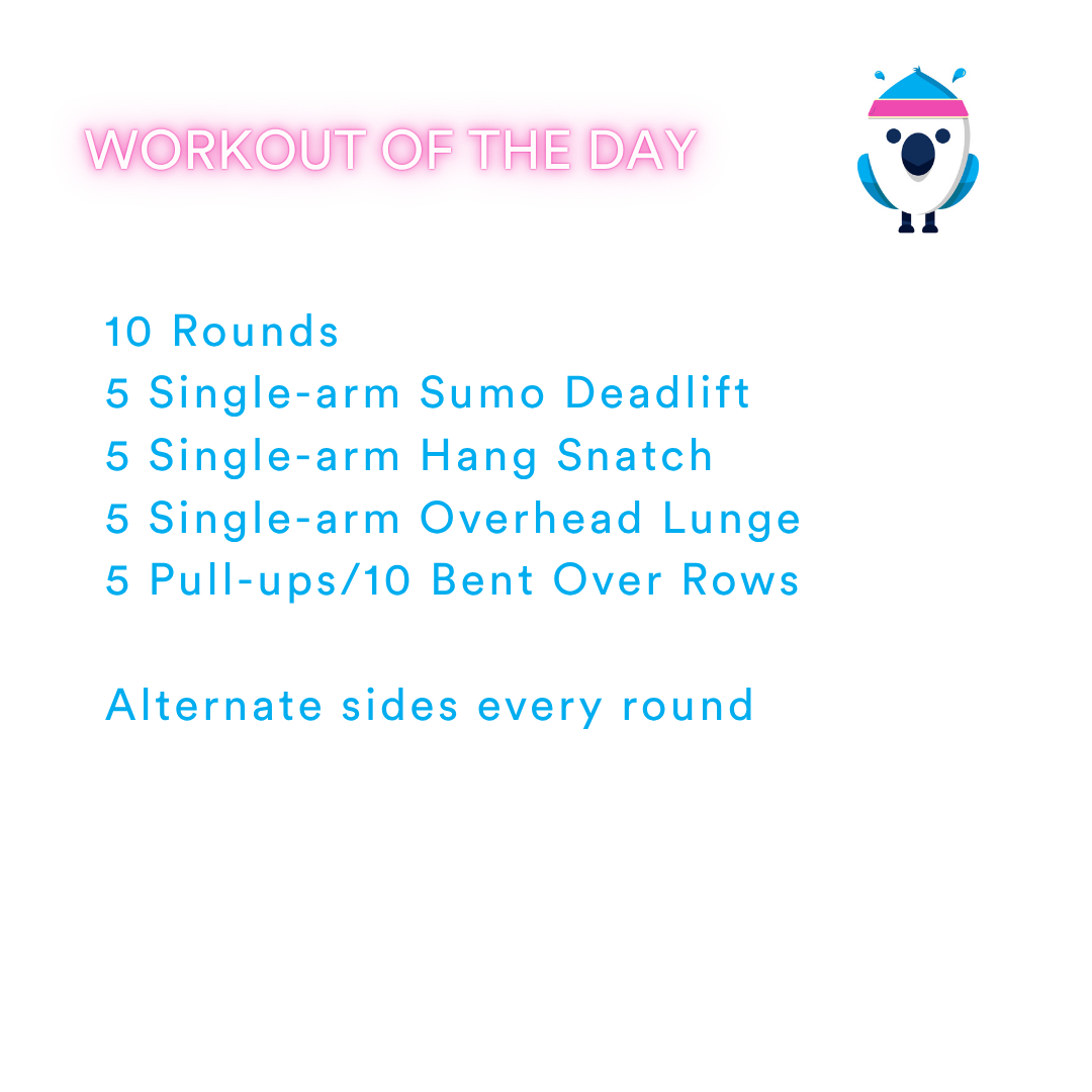 2025-11-17 Anti Hero by Coach Janet