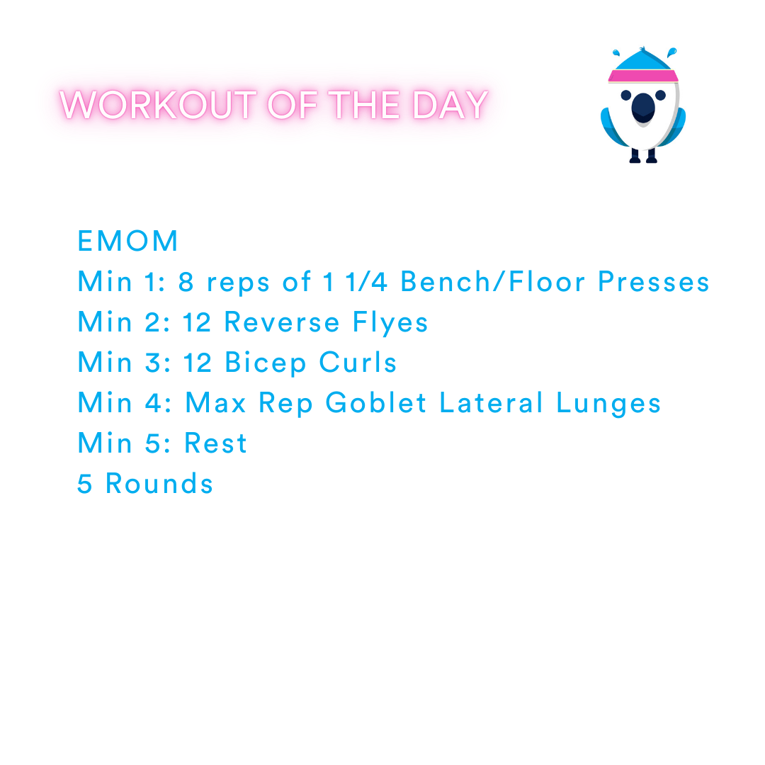 2025-11-21 Evildoer by Coach Janet