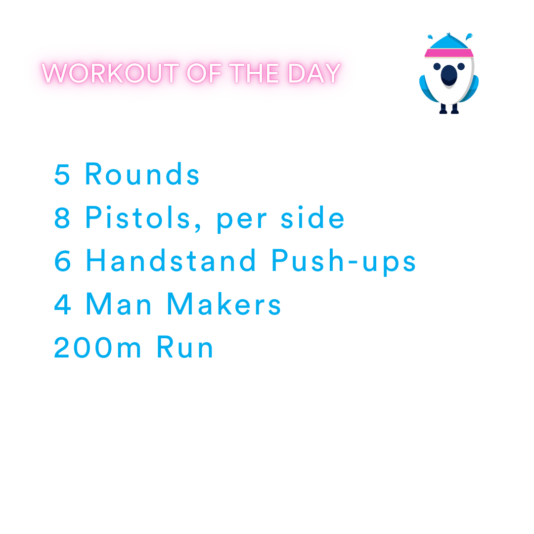 2025-11-22 Antagonist by Coach Janet