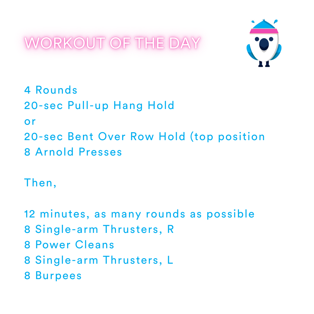 2025-11-24 This week's theme! Attitude of Gratitude! by Coach Janet