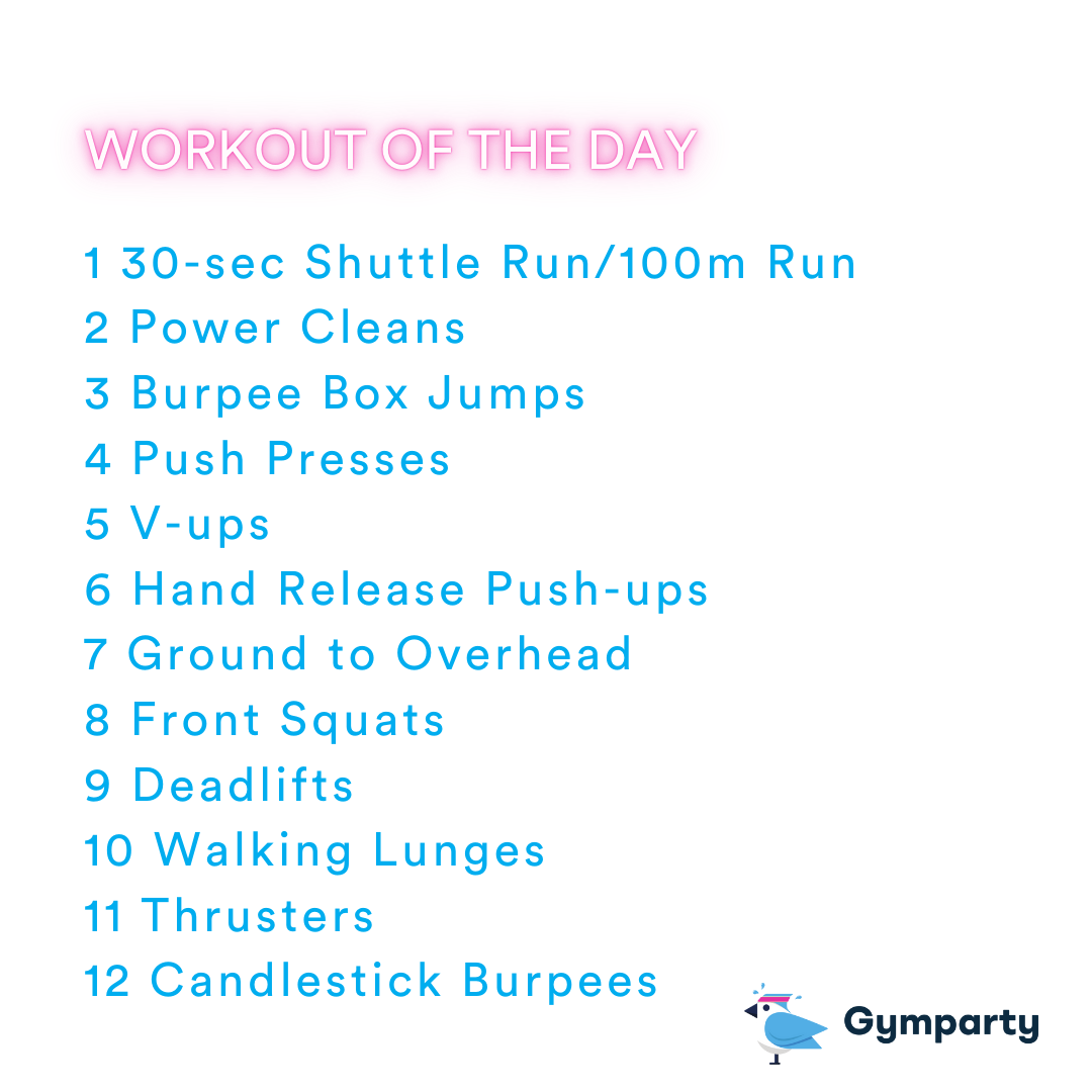 2025-12-23 12 Days of Christmas by Coach Janet