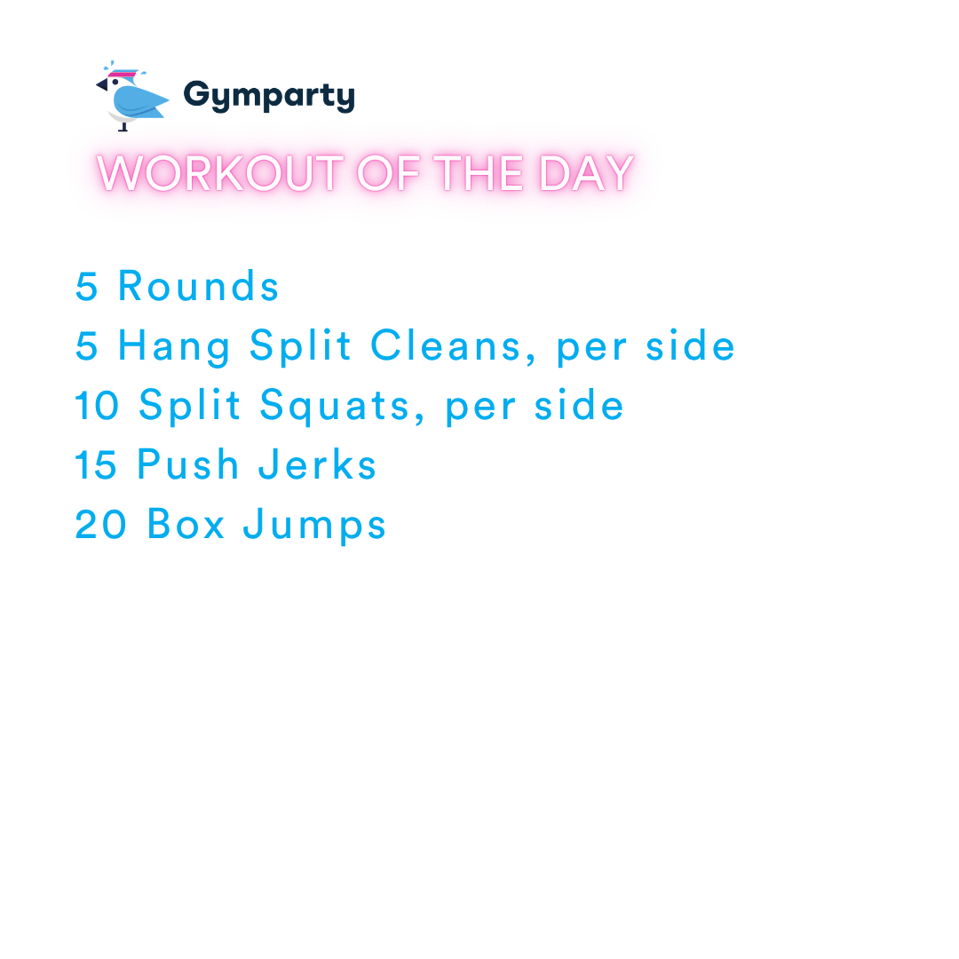 2026-09-21 This week's themes: Dog Days of Summer by Coach Janet