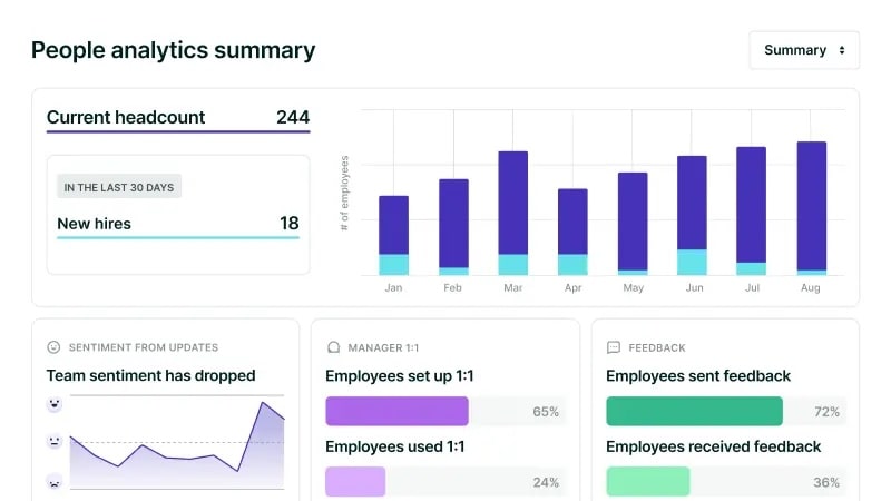 A screenshot of a people analytics summary interface from Lattice.