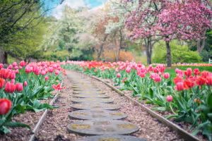 Women's Ministry - path through the flowers