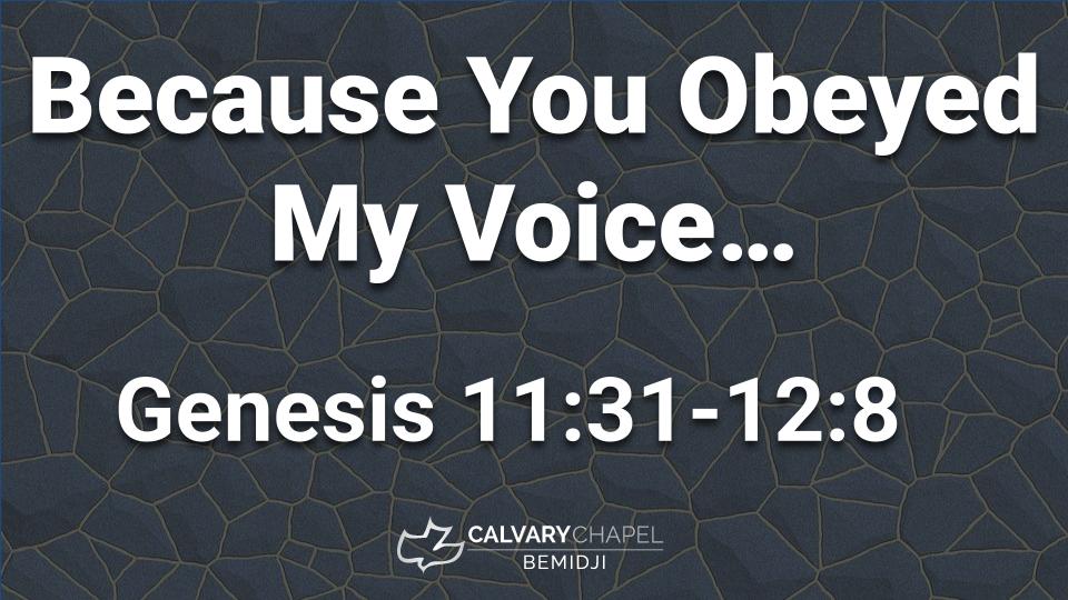 Because You Obeyed My Voice...