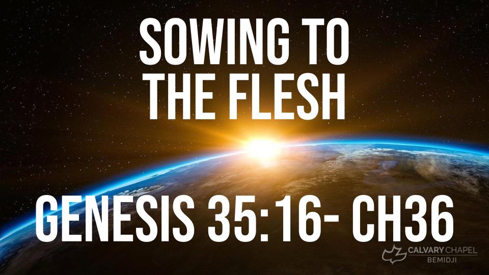 Sowing to the Flesh