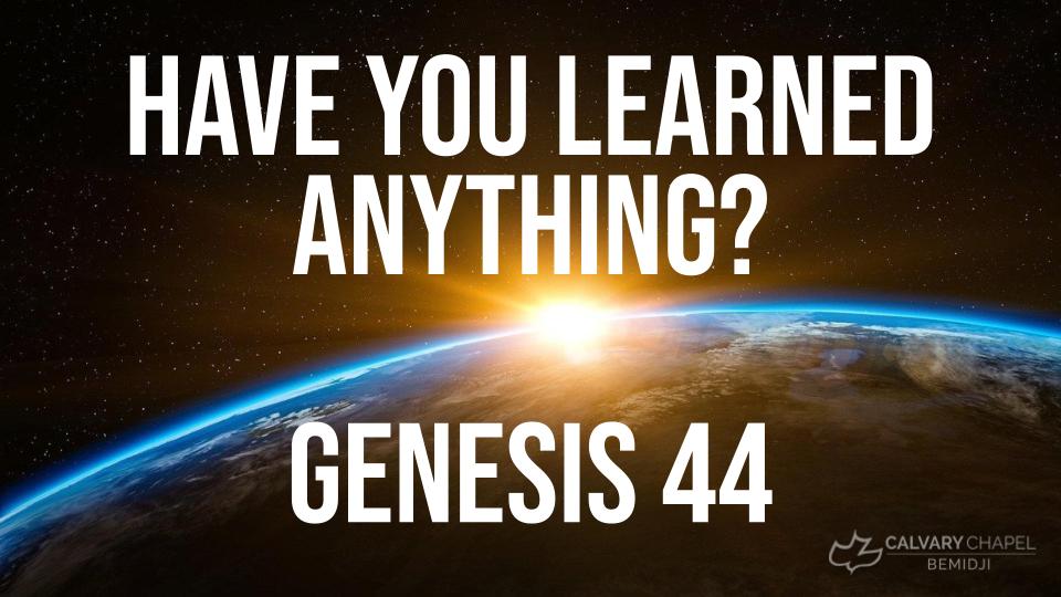 Have You Learned Anything?