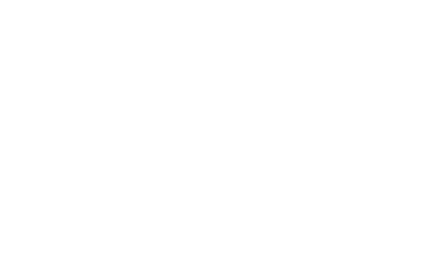 WisdomAI