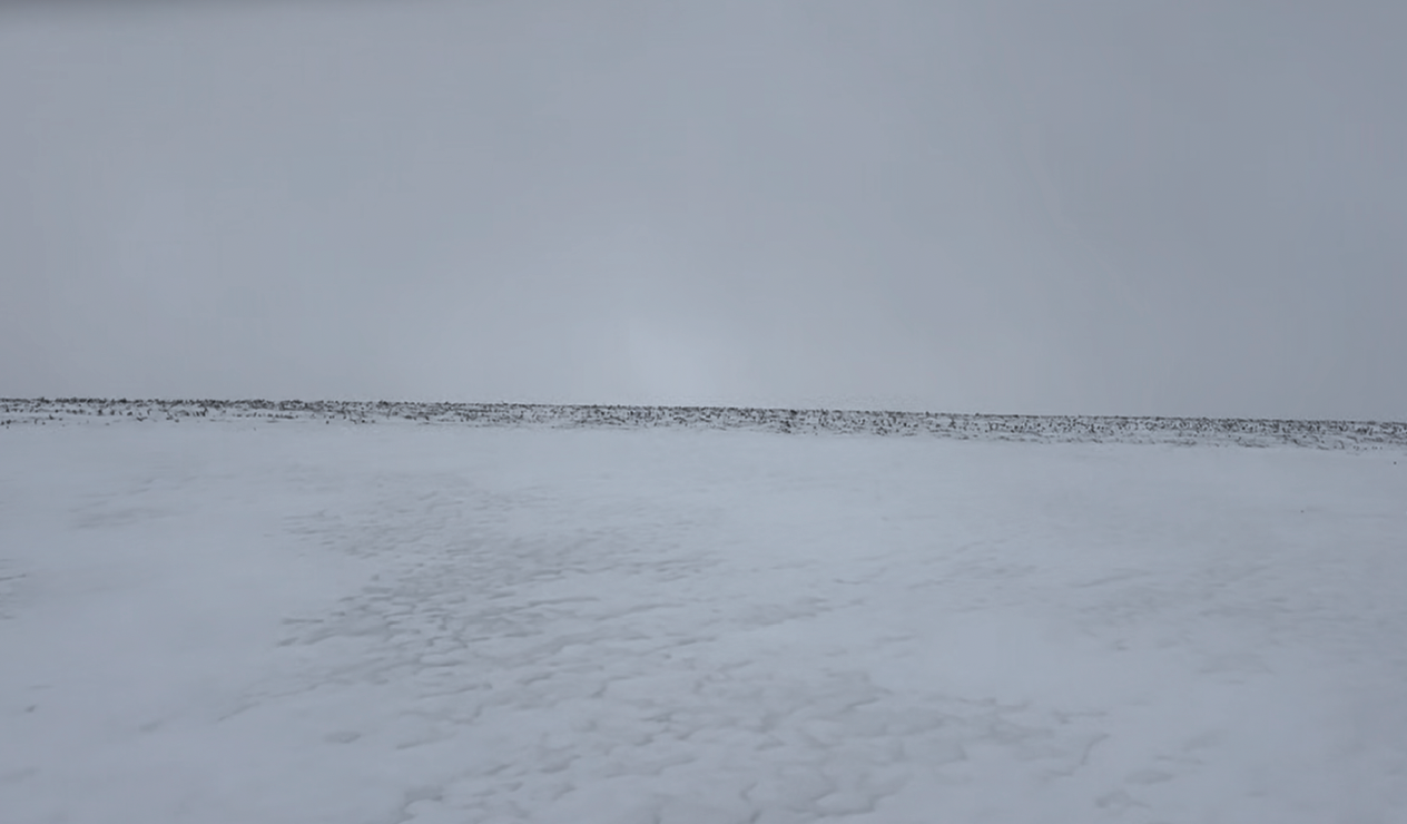 Minimal snowy landscape beneath an overcast grey sky, with a thin dark horizon stretching across the image.