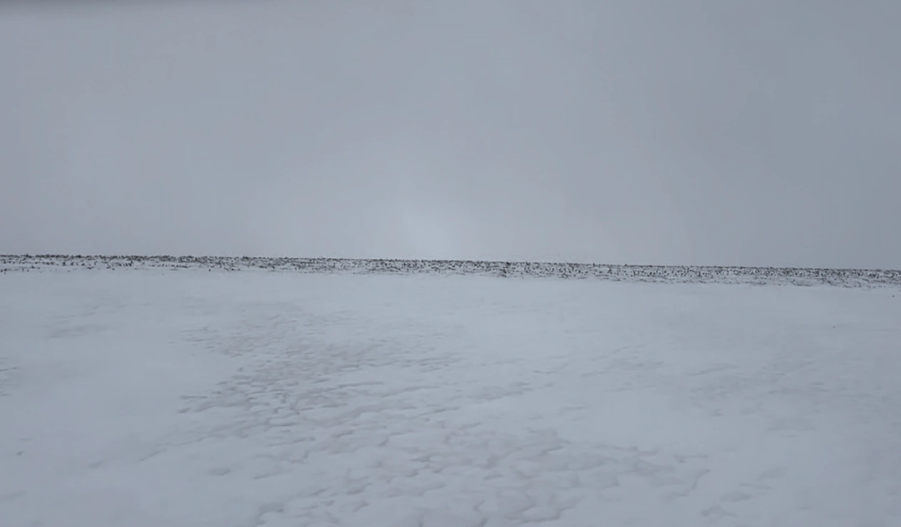 Minimal snowy landscape beneath an overcast grey sky, with a thin dark horizon stretching across the image.