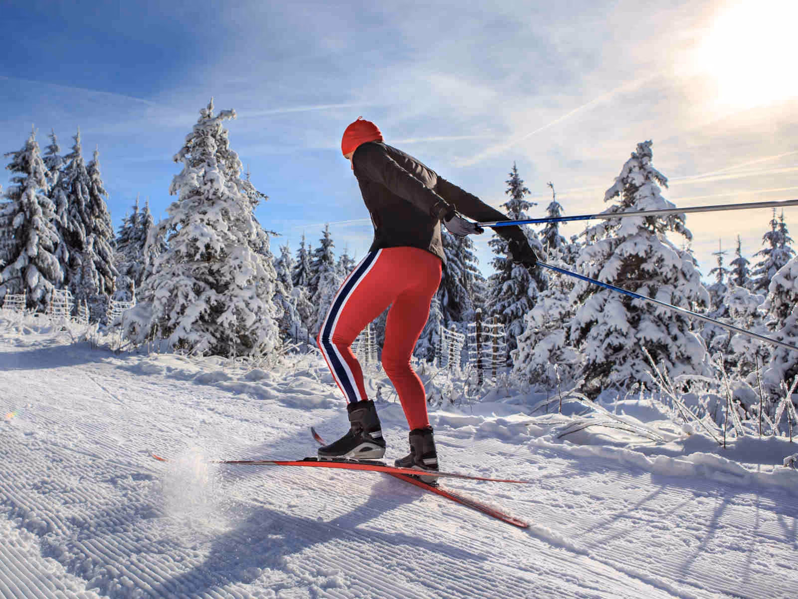 Cross-country skiers in the Bernese Oberland