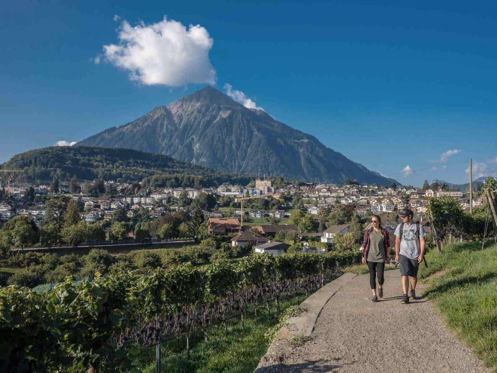 People on the circular hike in the vineyards of Spiez