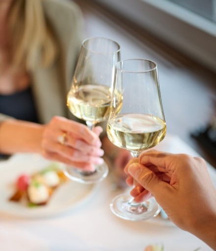 Zwei Personen mit Wein am anstossen