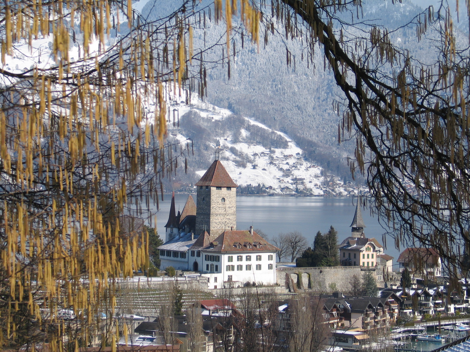 Le château de Spiez au printemps