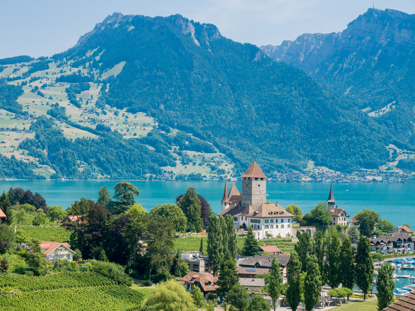 Spiez Castle in spring