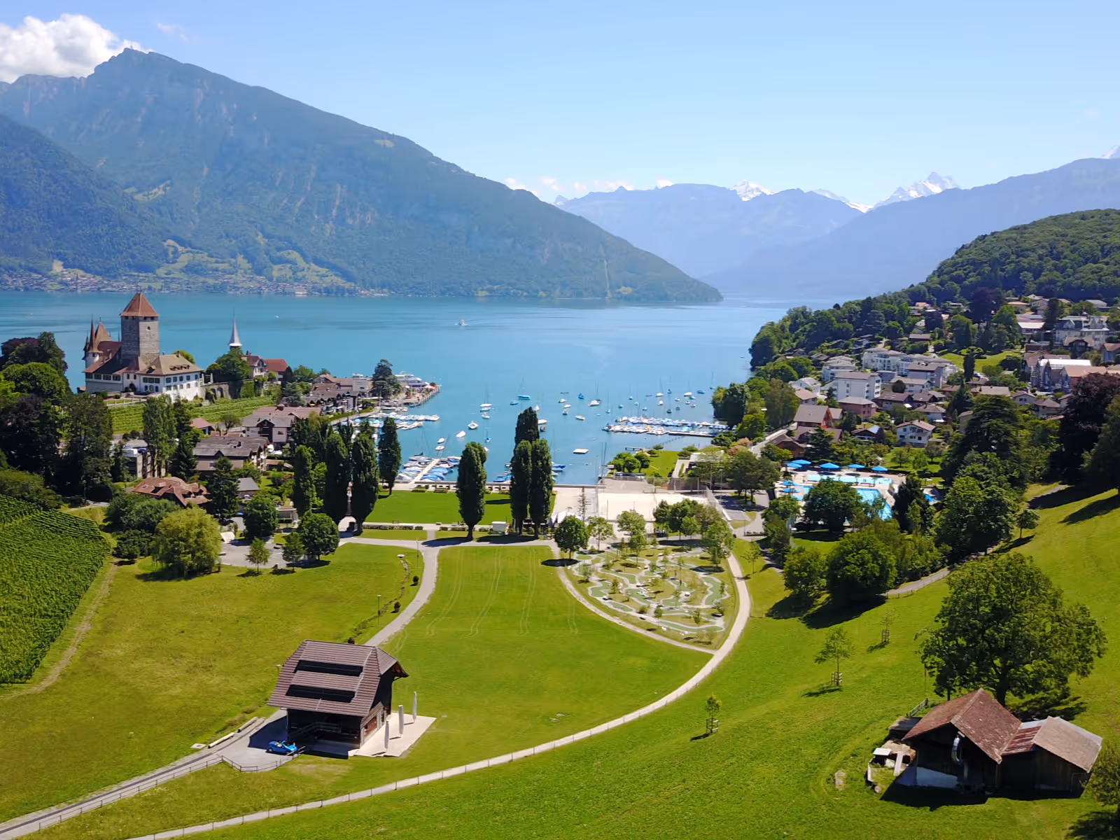 Vineyard with a view of Spiez and the Niesen