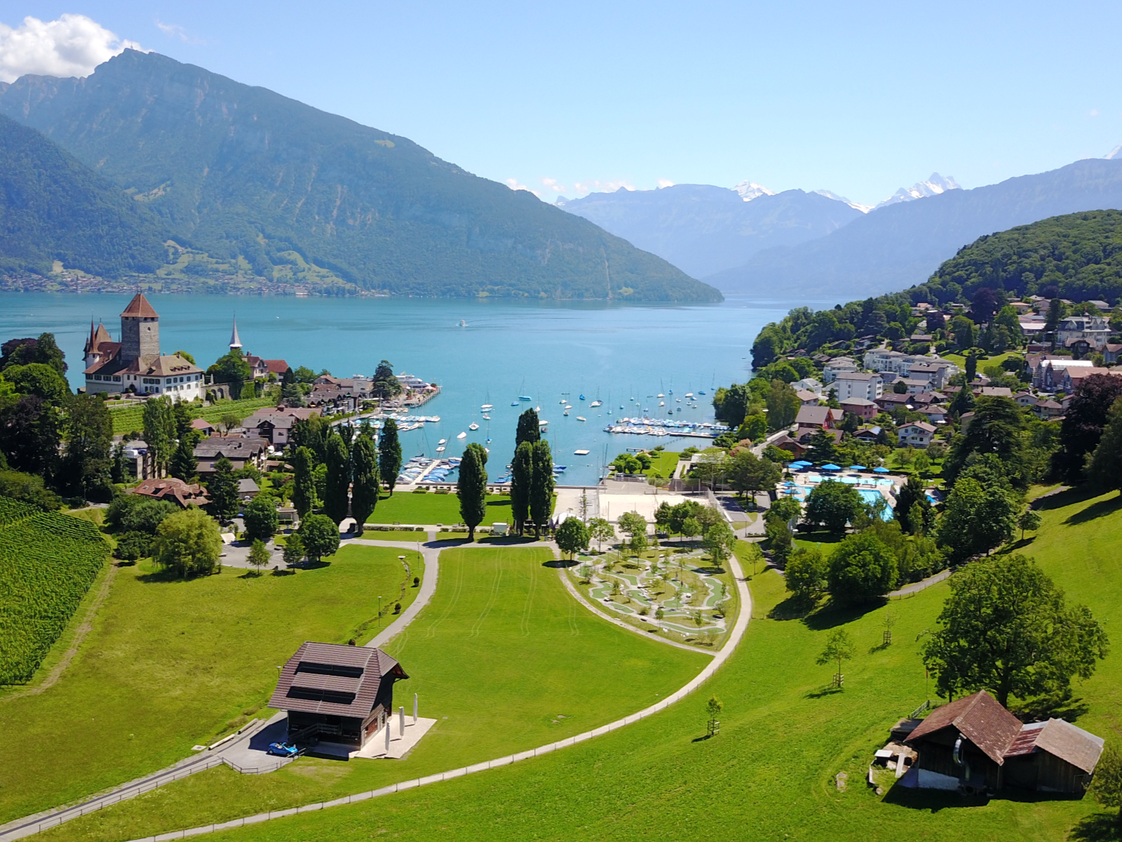 Vineyard with a view of Spiez and the Niesen