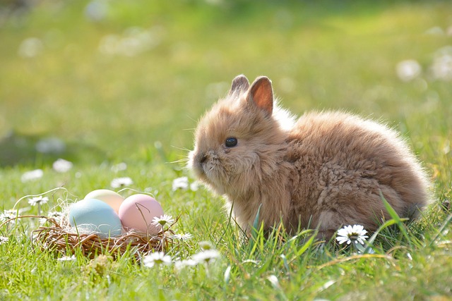 Rabbit with Easter basket