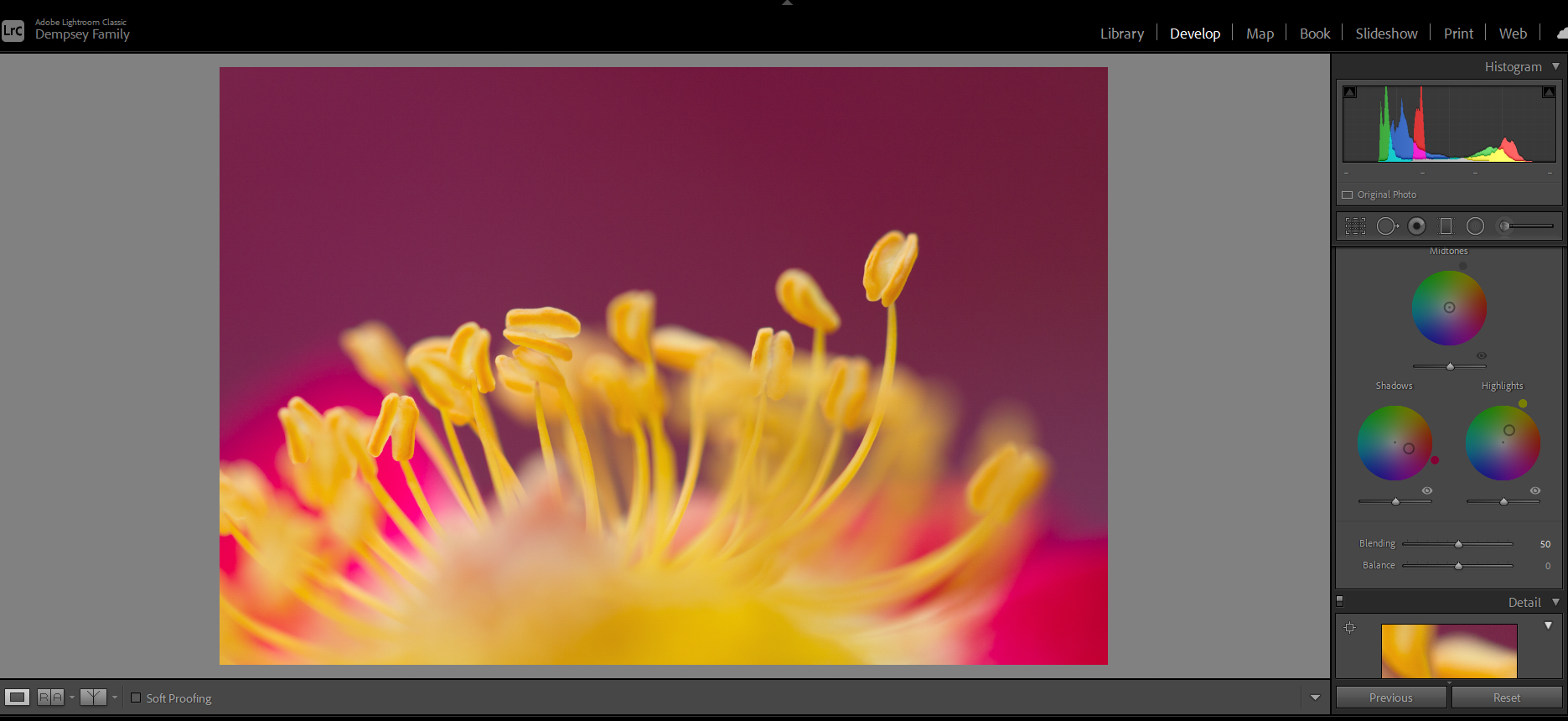 Screenshot from Lightroom showing the color grading panel
