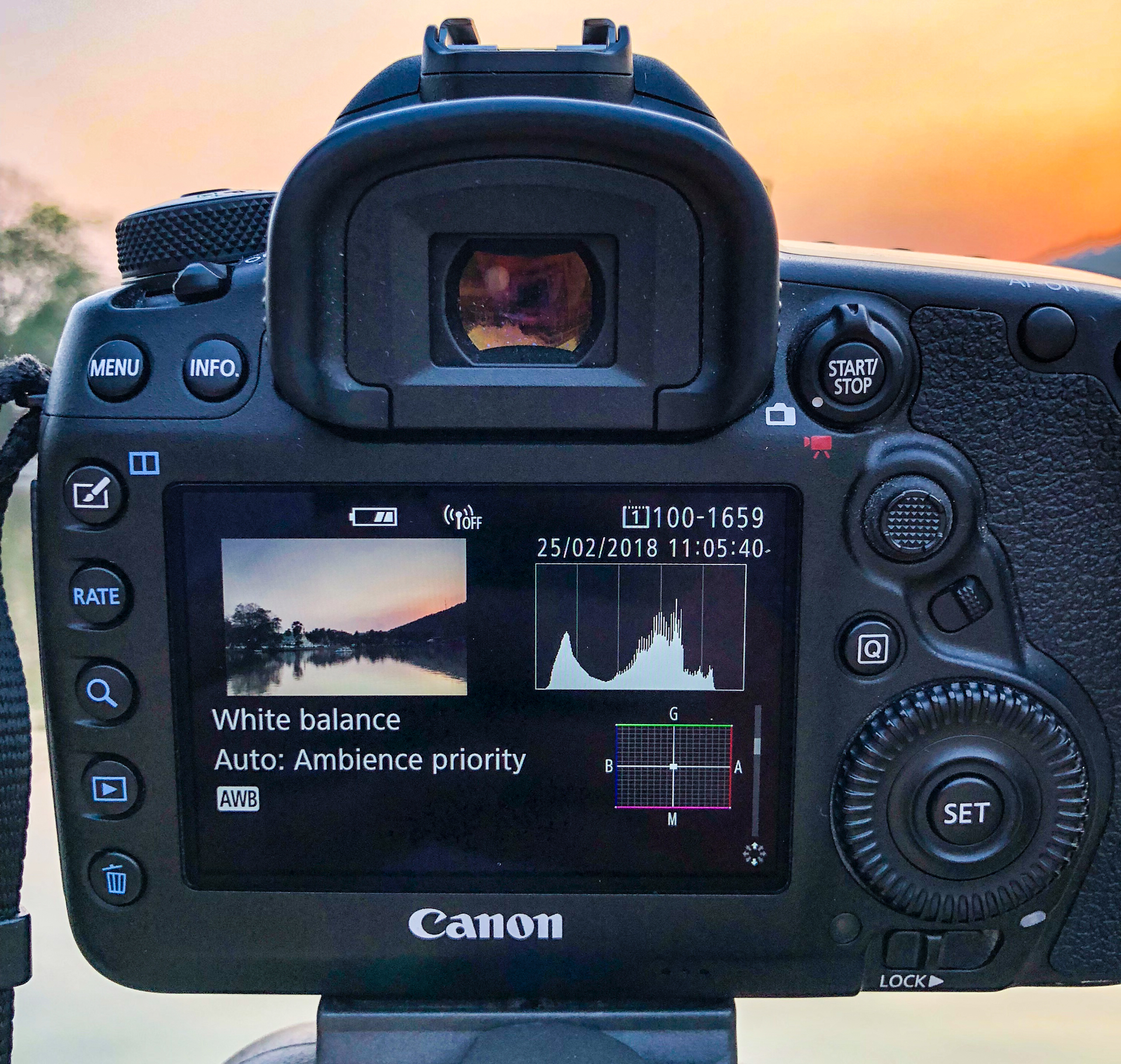 The LCD screen of a DSLR camera showing a histogram