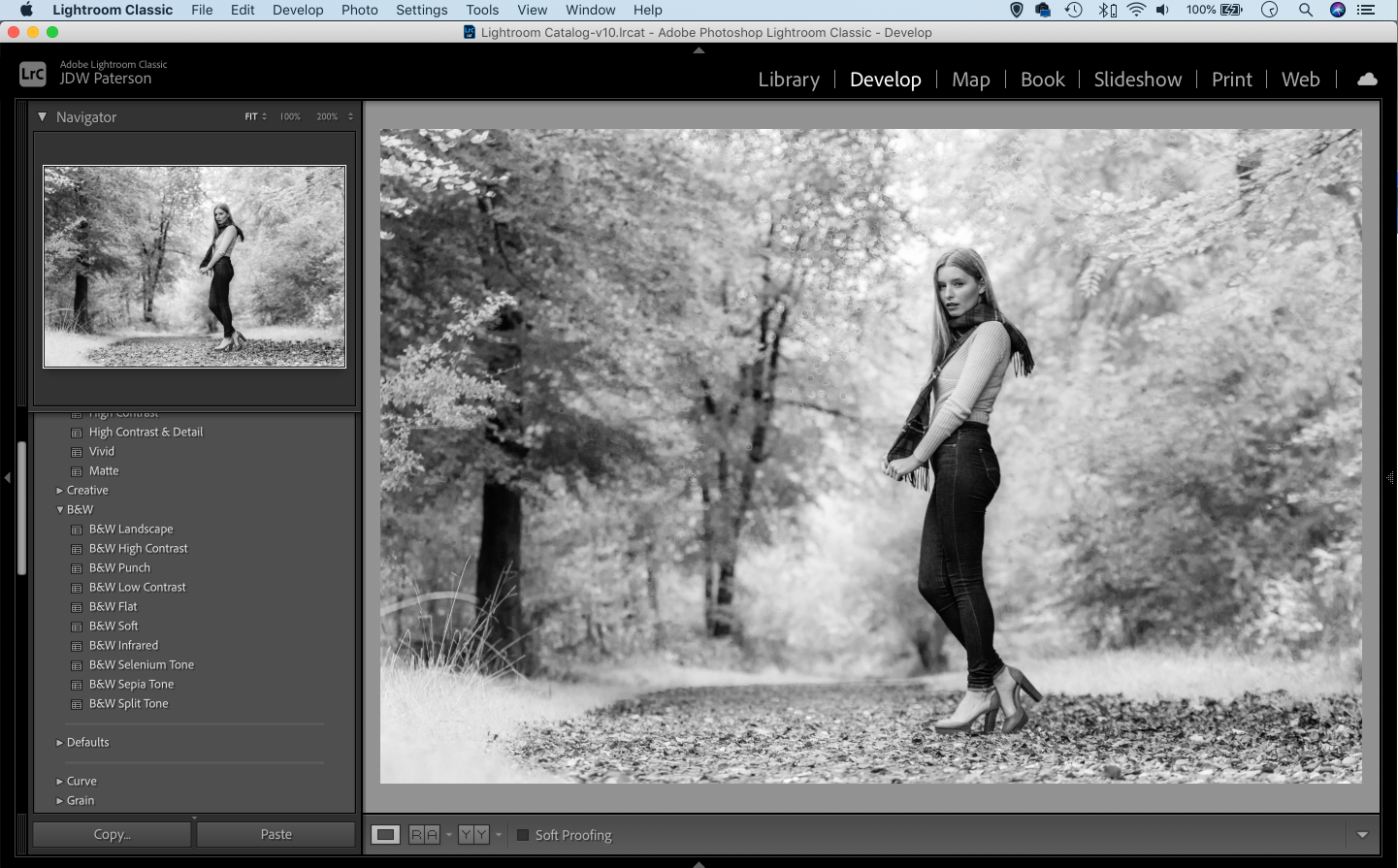 Screenshot of Lightroom's Infrared rpreset