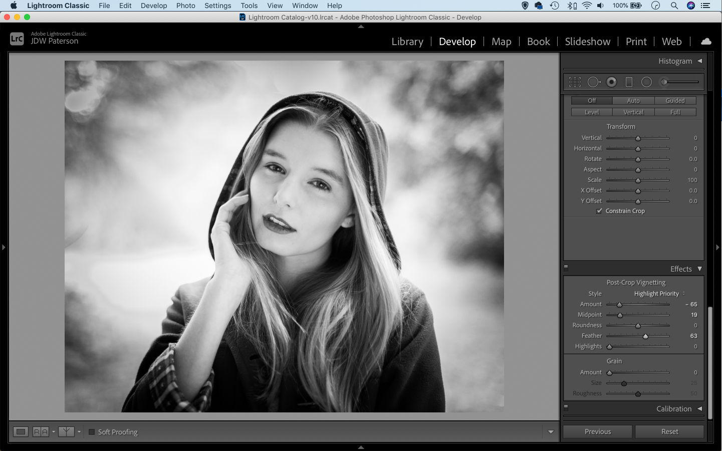 Screenshot showing the vignette tool in Lightroom