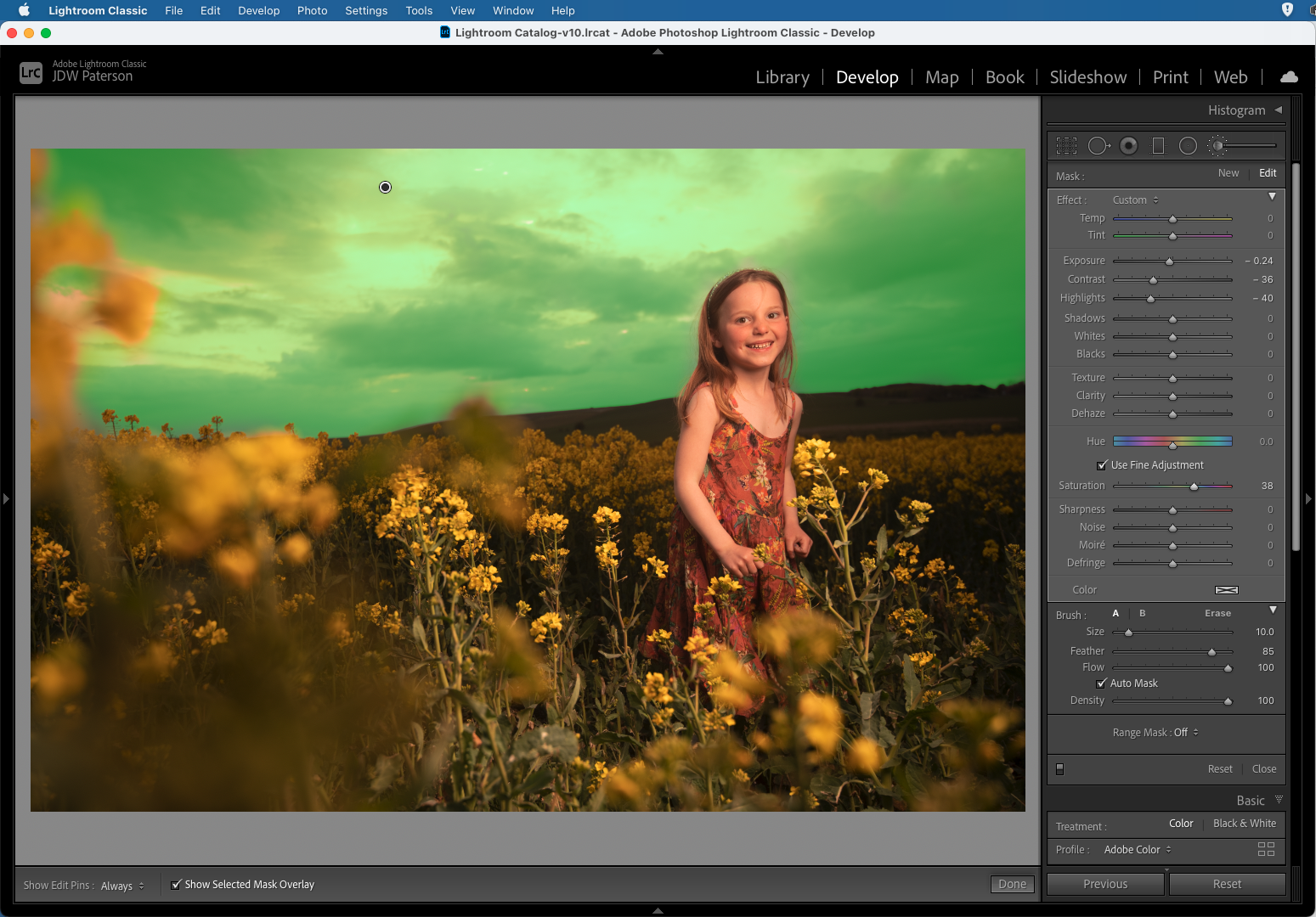 Screenshot showing the auto mask setting in Adobe Lightroom